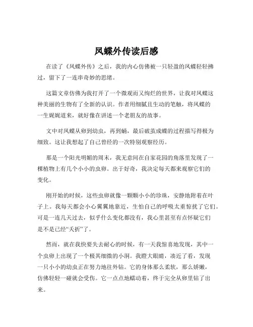 凤蝶外传读后感