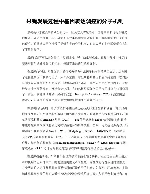 果蝇发展过程中基因表达调控的分子机制