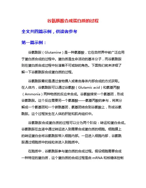 谷氨酰胺合成蛋白质的过程