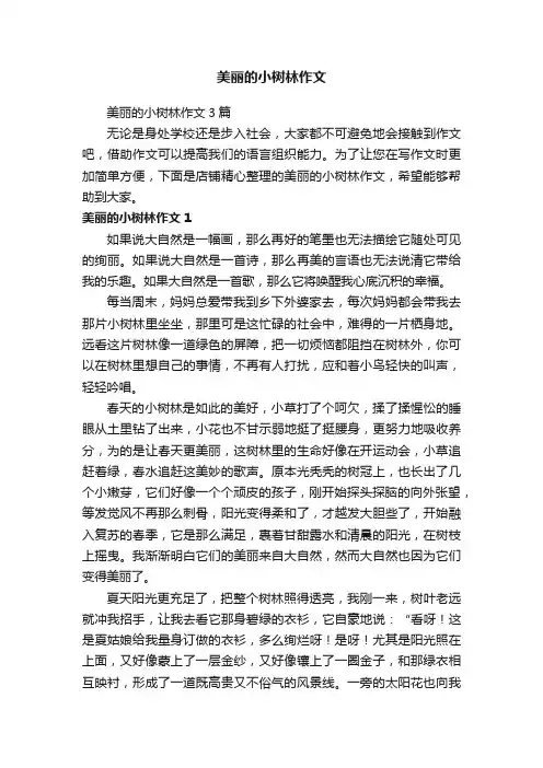 美丽的小树林作文