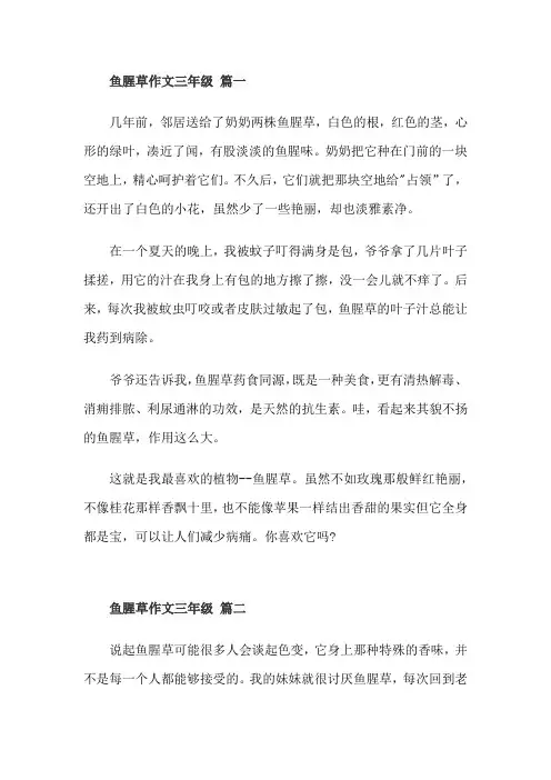 鱼腥草作文三年级