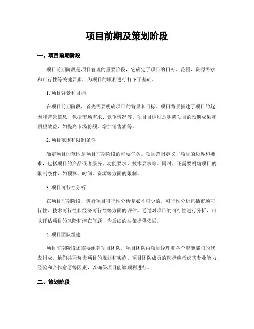 项目前期及策划阶段
