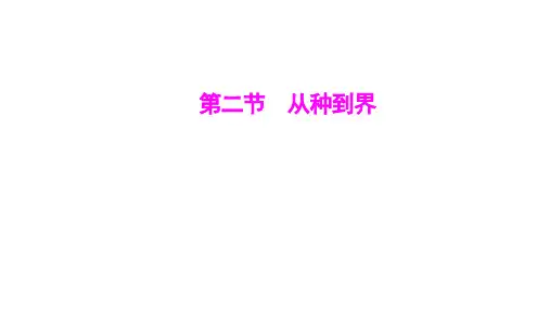 第二单元第四章第二节从种到界-2024-2025学年初中生物七年级上册(人教版)配套课件