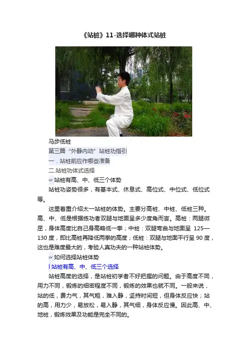 《站桩》11-选择哪种体式站桩