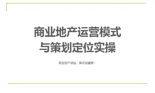 商业地产运营模式与策划定位实操(收藏版)教学内容