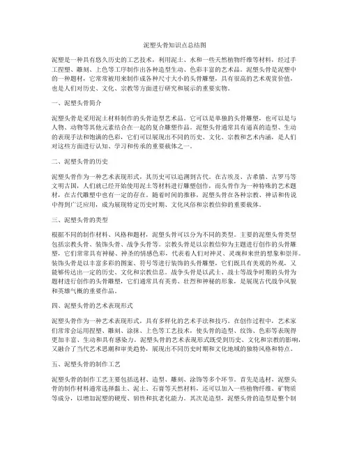泥塑头骨知识点总结图
