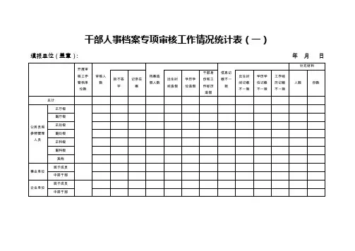 干部人事档案专项审核工作情况统计表