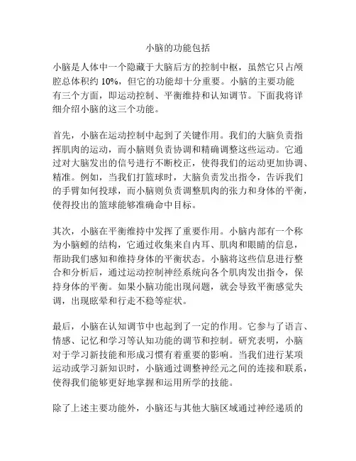 小脑的功能包括