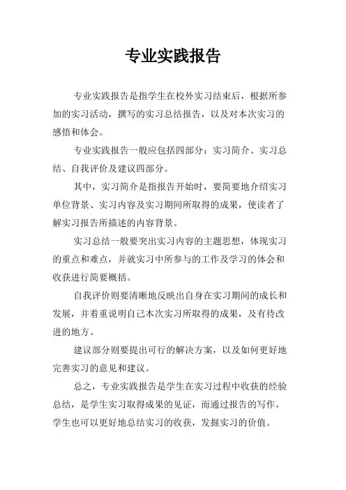 专业实践报告