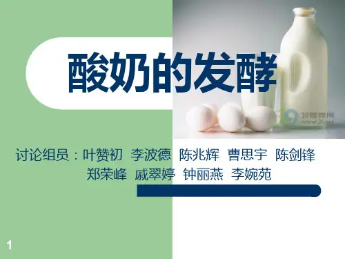 发酵乳的工艺PPT课件