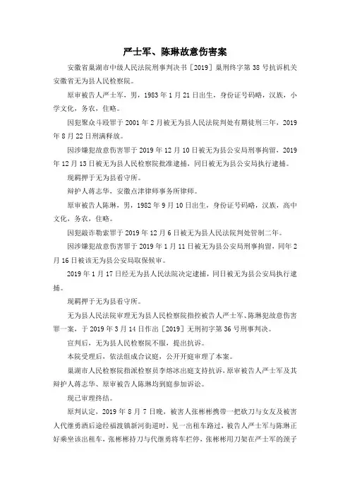 最新-严士军、陈琳故意伤害案 精品