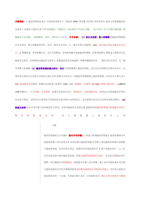 输尿管软镜技术