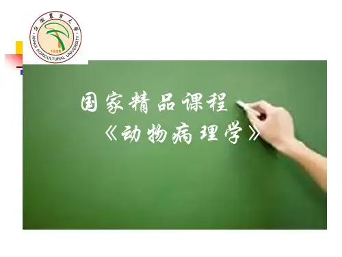 炎症的类型及病变特点