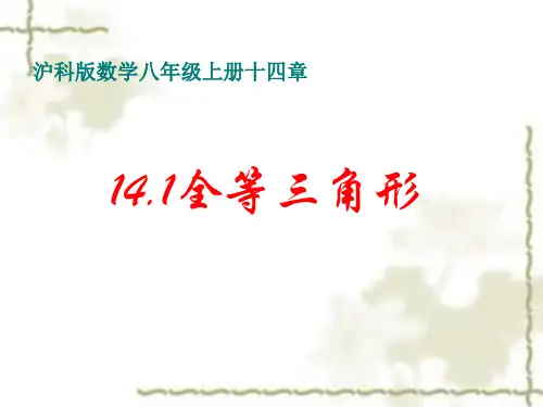 沪科版数学八年级上册十四章 14.1全等三角形 (1)课件 (共21张PPT)