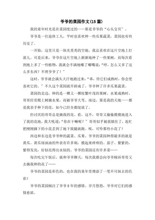 爷爷的菜园作文(15篇)精编