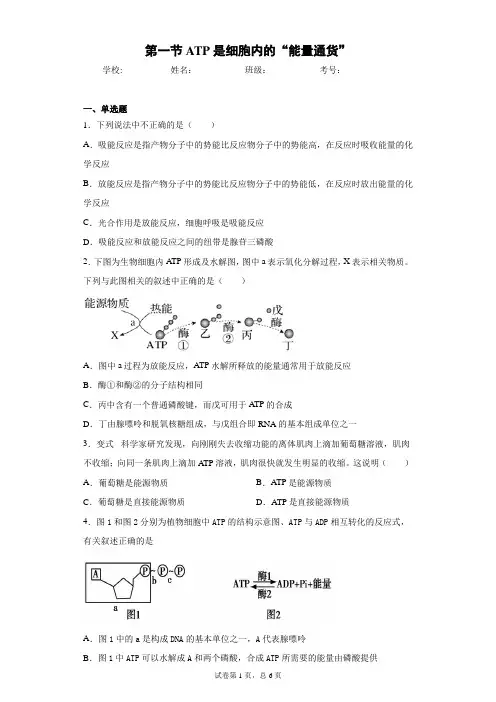 第一节ATP是细胞内的“能量通货”含答案解析