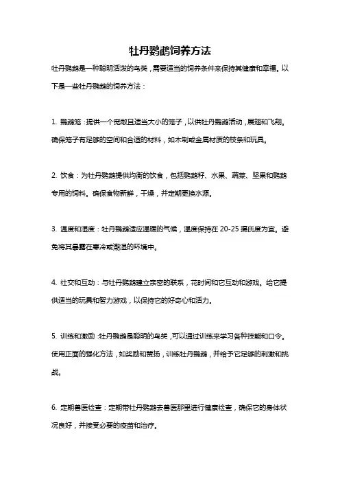 牡丹鹦鹉饲养方法