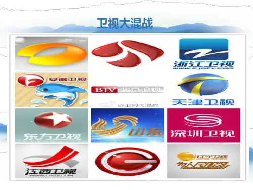 抄袭严重的中国综艺节目PPT课件