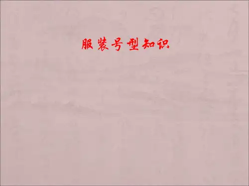 服装号型知识