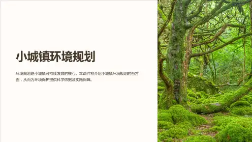 《小城镇环境规划》课件