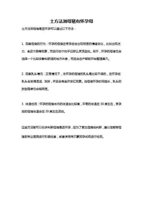 土方法测母猪有怀孕母