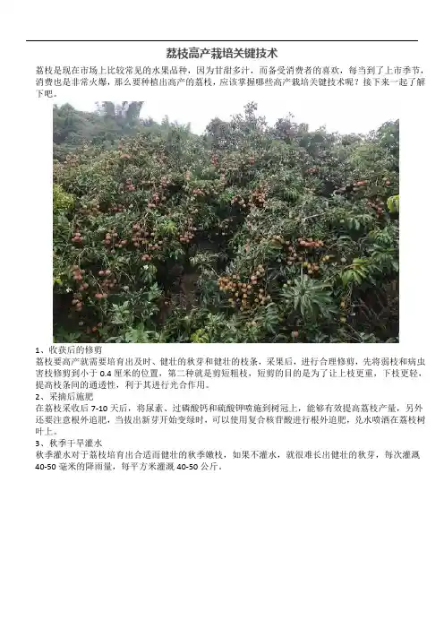 荔枝高产栽培关键技术