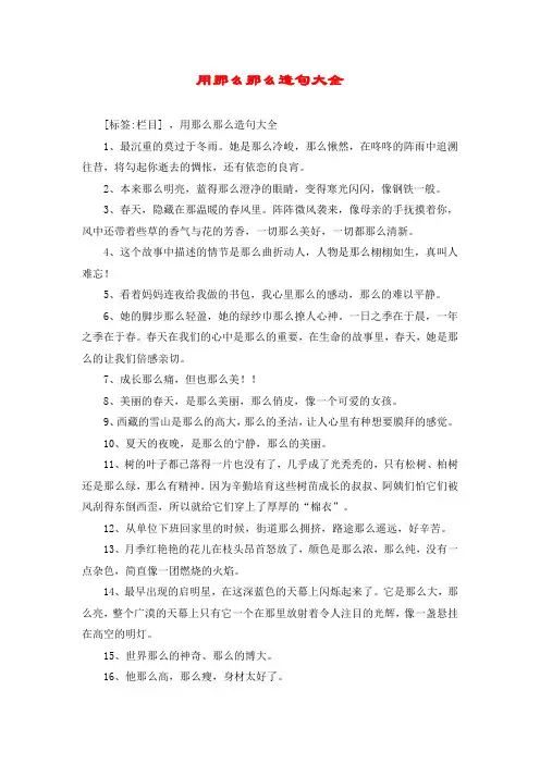 用那么那么造句大全