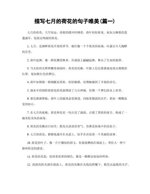 描写七月的荷花的句子唯美(精选2篇)