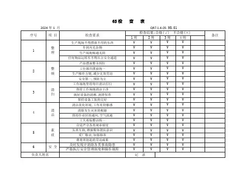 6S检查表