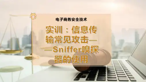 实训：信息传输常见攻击——Sniffer嗅探器的使用