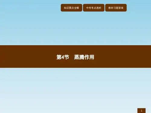 蒸腾作用(北师大版)