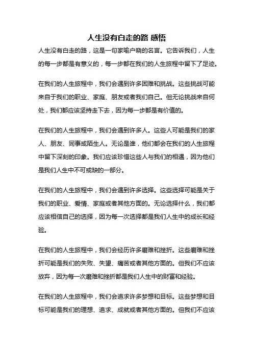 人生没有白走的路 感悟