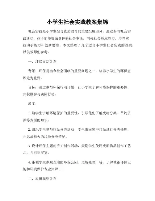小学生社会实践教案集锦