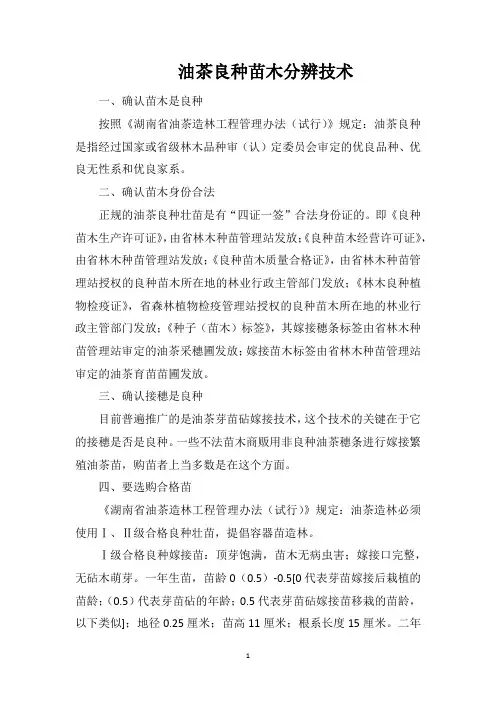 油茶良种苗木分辨技术