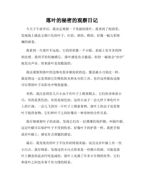 小学三年级作文落叶的秘密的观察日记