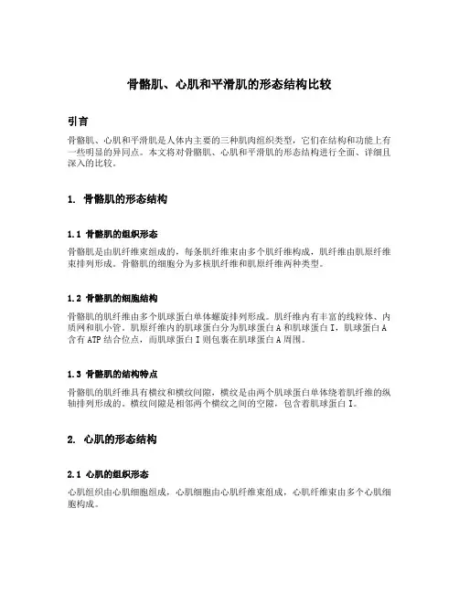骨骼肌心肌平滑肌形态结构的异同点