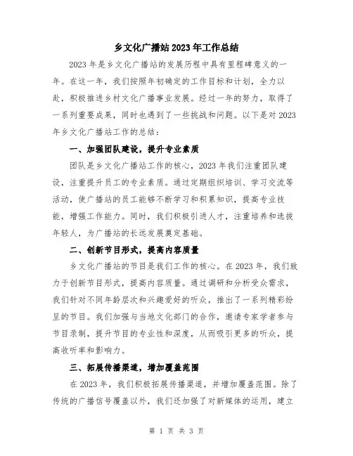 乡文化广播站2023年工作总结
