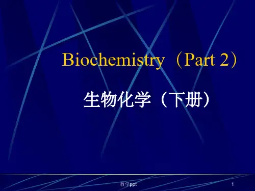 深圳大学生物化学下册代谢总论