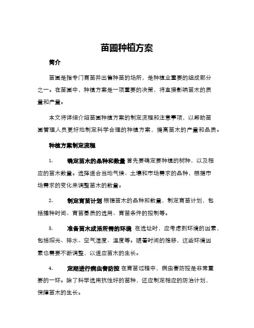 苗圃种植方案