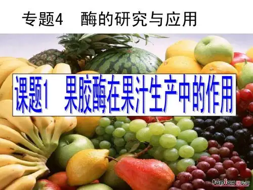 课题1_果胶酶在果汁生产中的作用