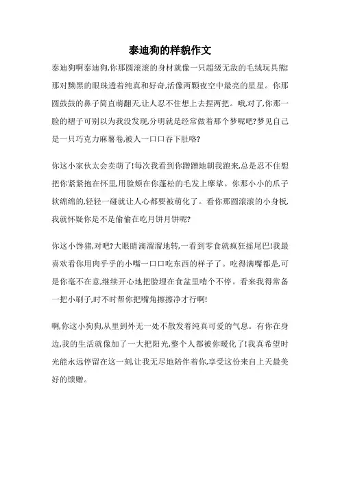 泰迪狗的样貌作文