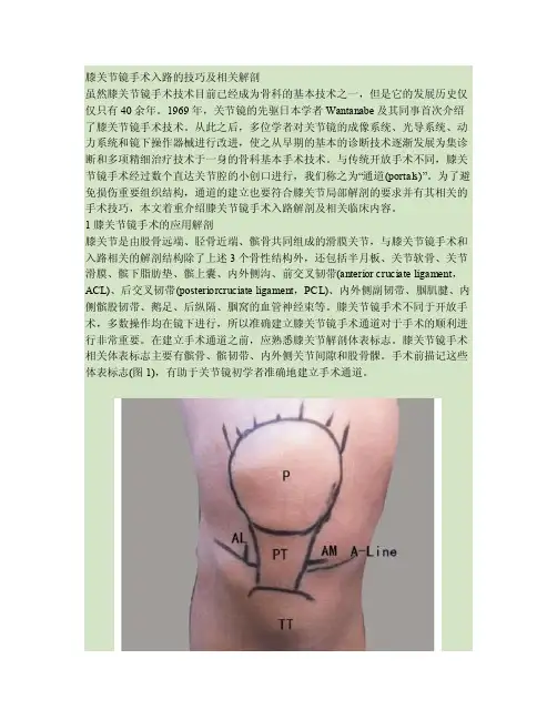 膝关节镜手术入路的技巧及相关解剖概要