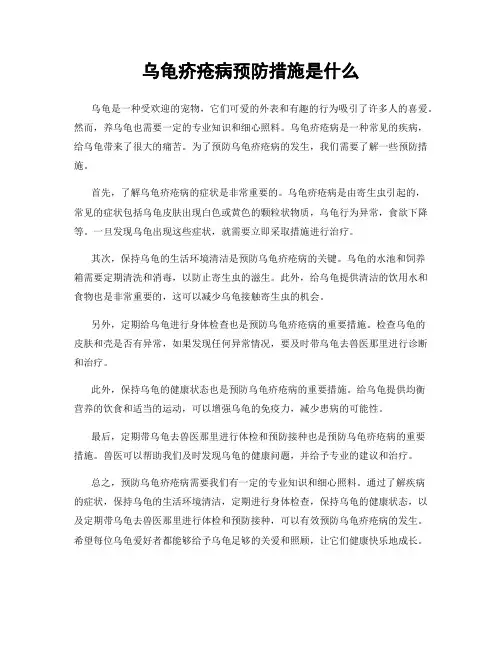 乌龟疥疮病预防措施是什么