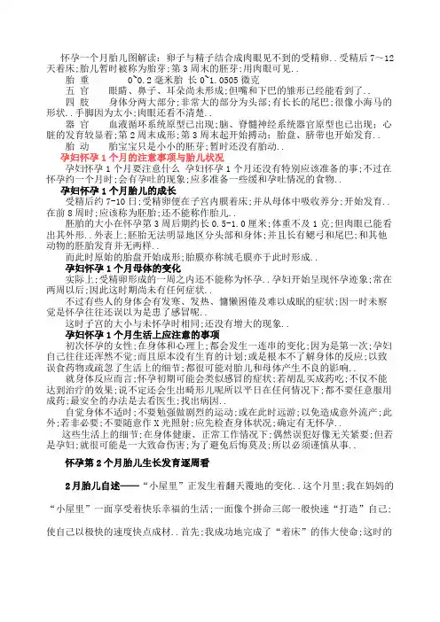 怀孕十胎儿发育过程图