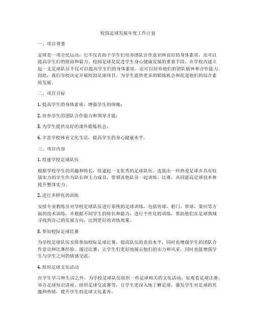 校园足球发展年度工作计划