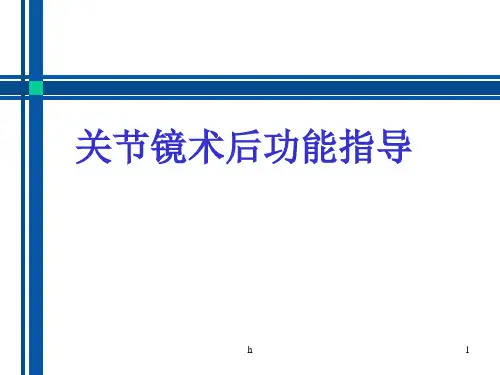 《关节镜手术护理》PPT课件