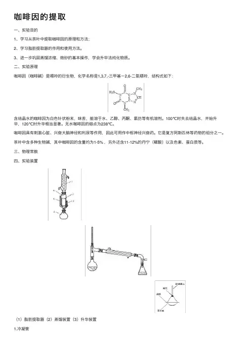 咖啡因的提取