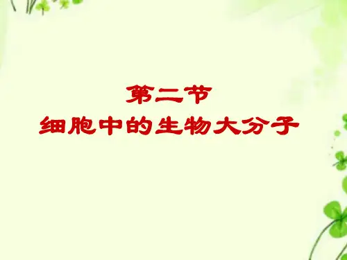 【精编】陕西省安康市石泉县高中生物第二章细胞的化学组成2.2细胞中的生物大分子课件苏教版必修1.ppt