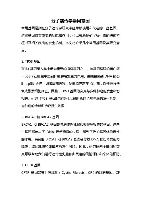 分子遗传学常用基因