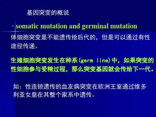 第十章基因突变